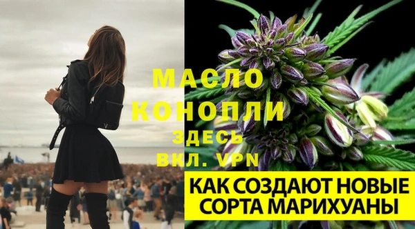 MDMA Беломорск