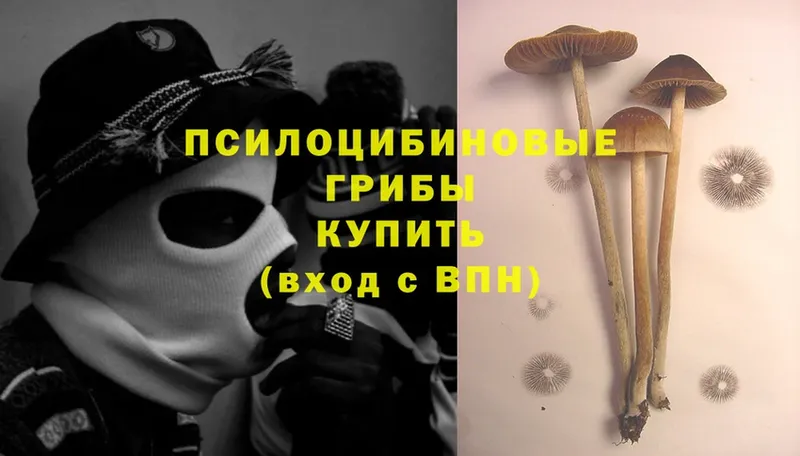 что такое наркотик  Фёдоровский  Галлюциногенные грибы Psilocybe 